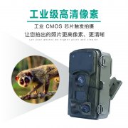 80%的国家级自然保护区都安装了林业红外相机
