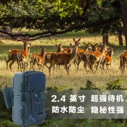 野生动物监测相机,记录动物的生命轨迹